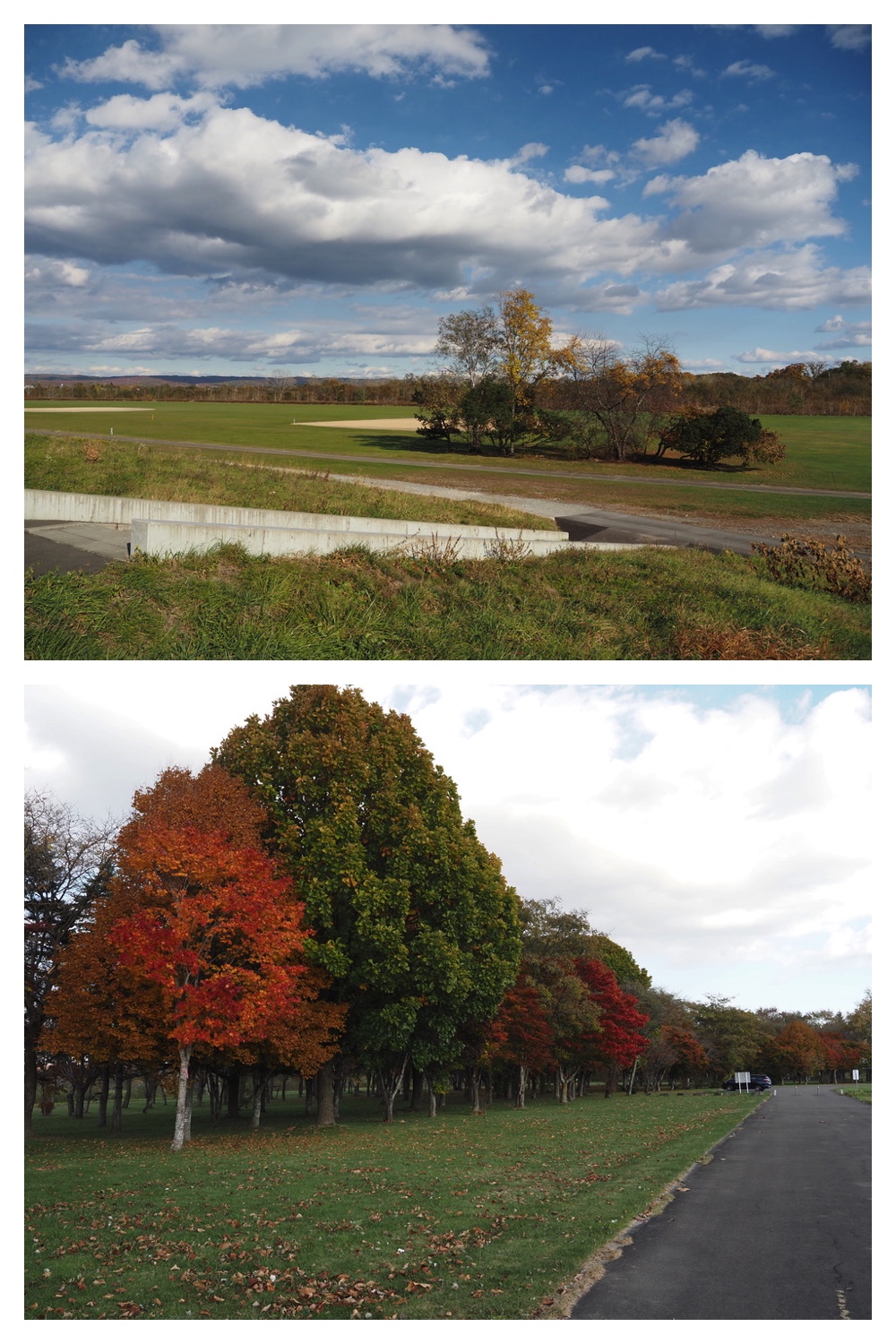 251024_Obihiro-shrine_2