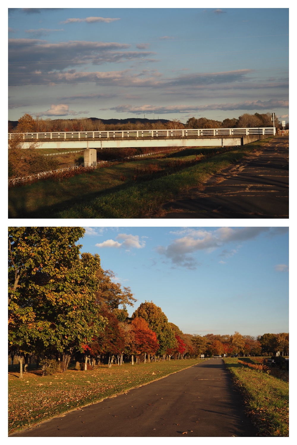 251024_Obihiro-shrine_25