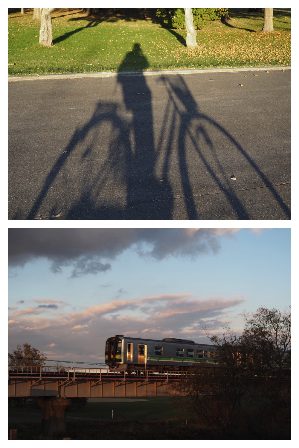 251024_Obihiro-shrine_27