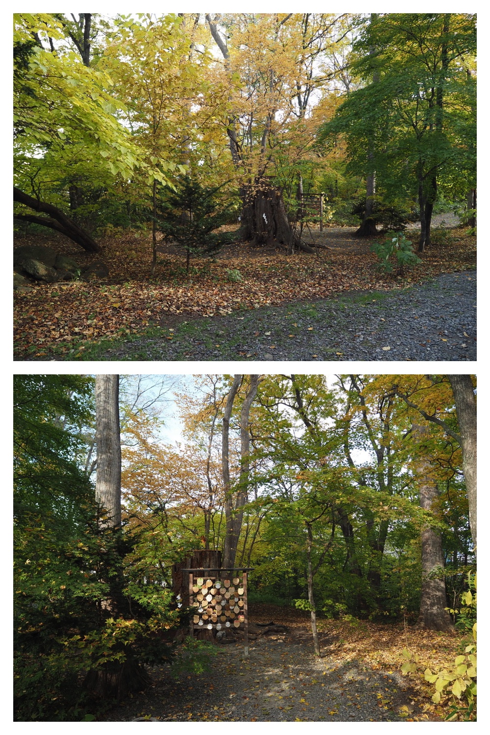 251024_Obihiro-shrine_3