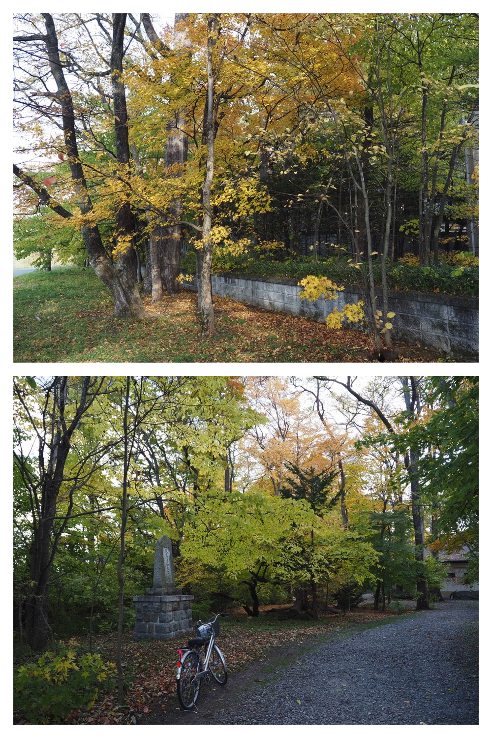 251024_Obihiro-shrine_9