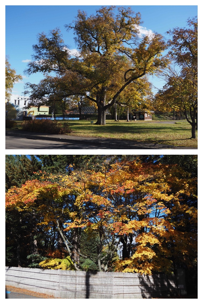 251027_Manabe-Garden_1