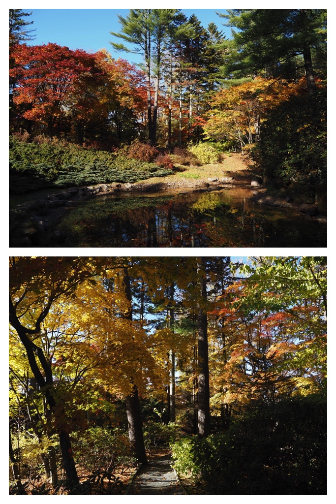 251027_Manabe-Garden_10