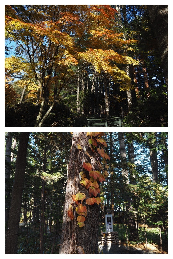 251027_Manabe-Garden_11