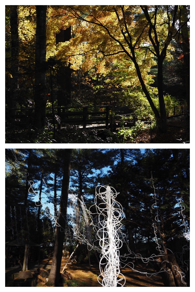 251027_Manabe-Garden_13