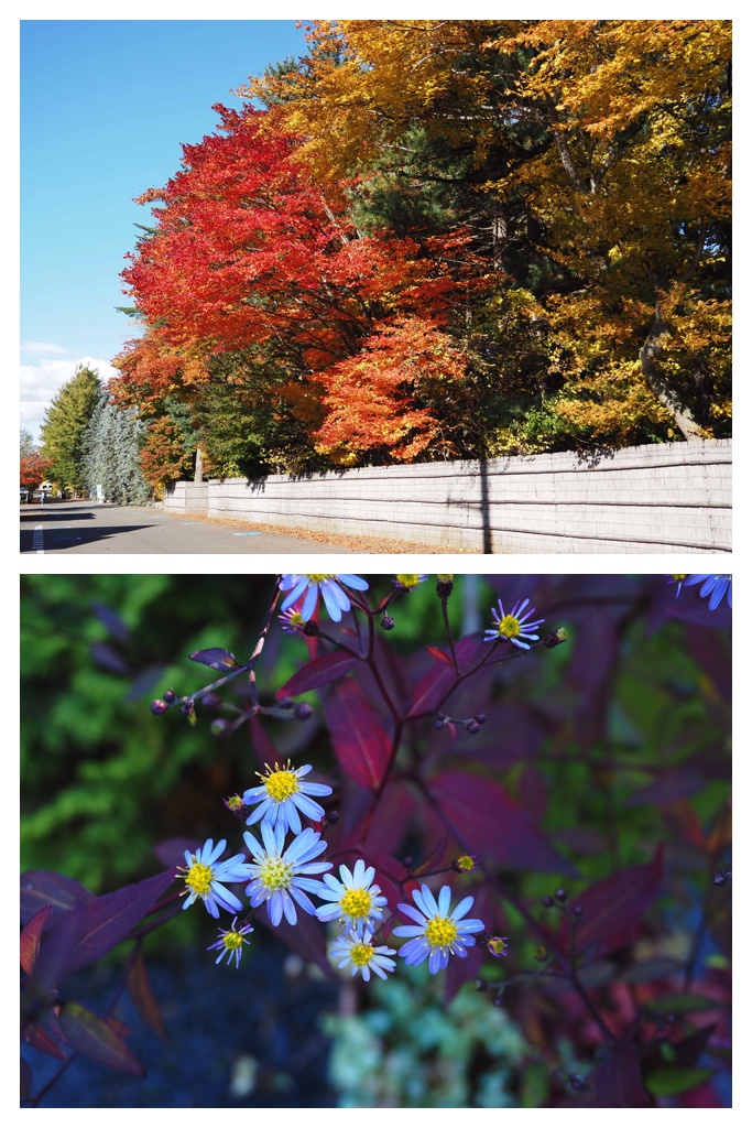 251027_Manabe-Garden_2