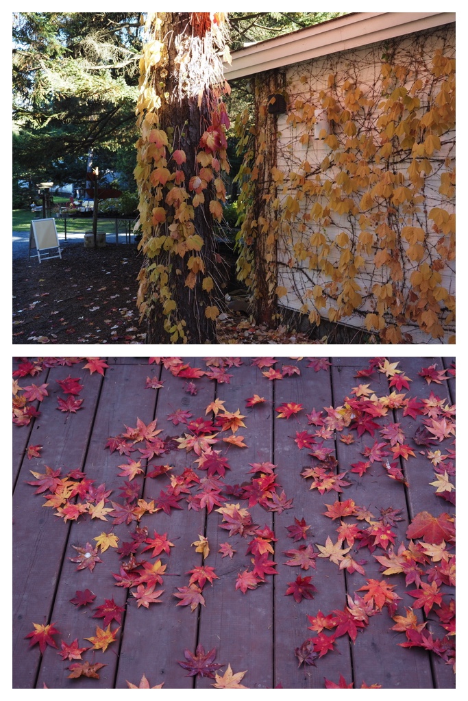 251027_Manabe-Garden_20