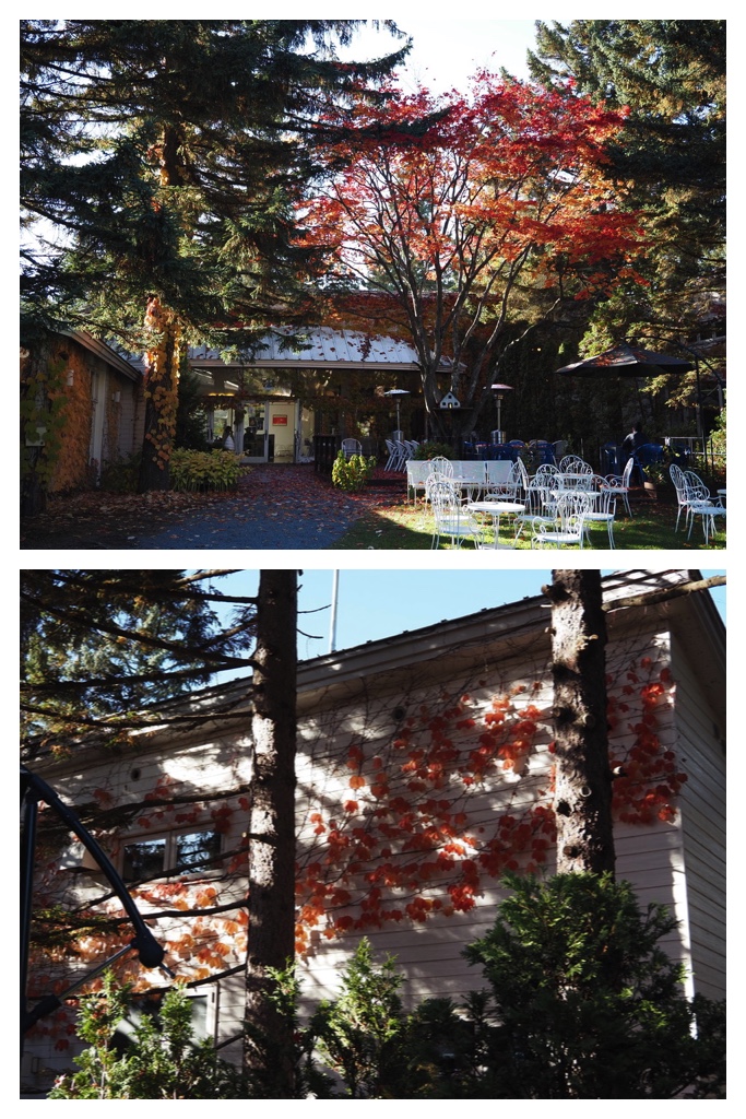 251027_Manabe-Garden_21