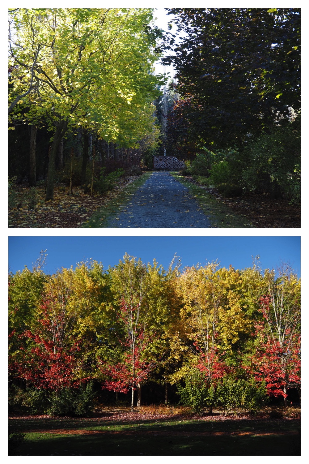 251027_Manabe-Garden_22