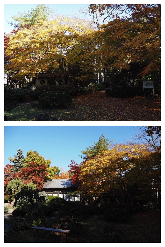 251027_Manabe-Garden_5