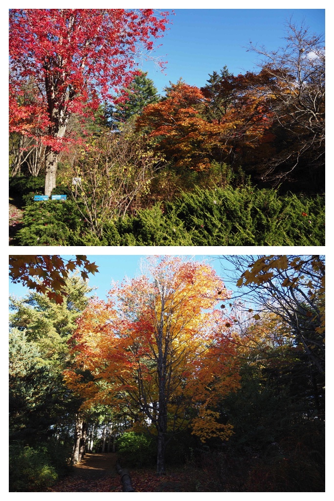 251027_Manabe-Garden_7