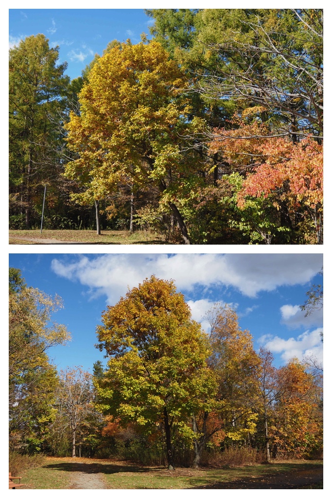 251027_Mini_volley_1