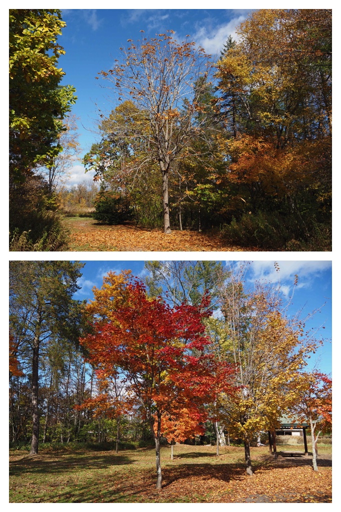 251027_Mini_volley_2