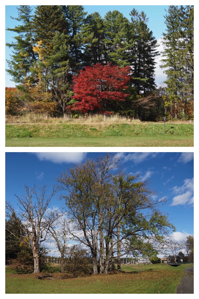 251027_Mini_volley_6