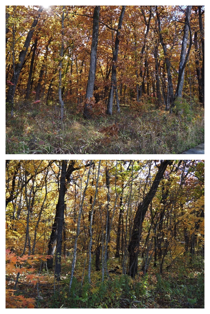 251027_Mini_volley_7