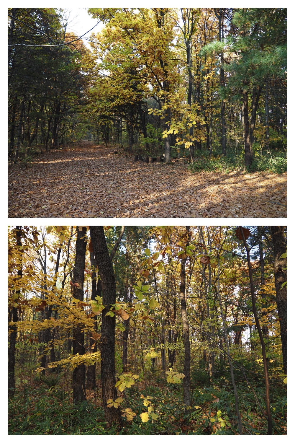 251029_Temp-logger_1