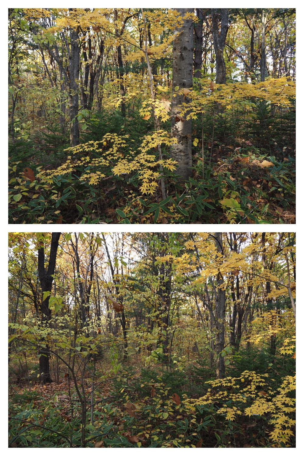 251029_Temp-logger_3