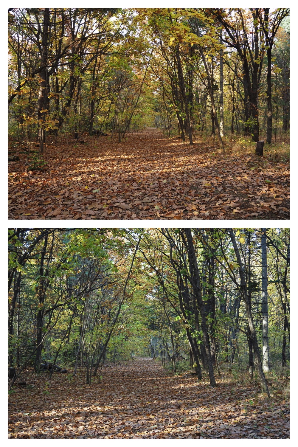 251029_Temp-logger_4