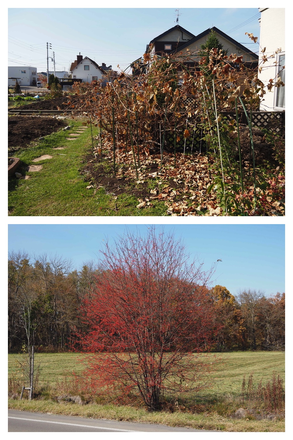 251030_Mini-volley_1