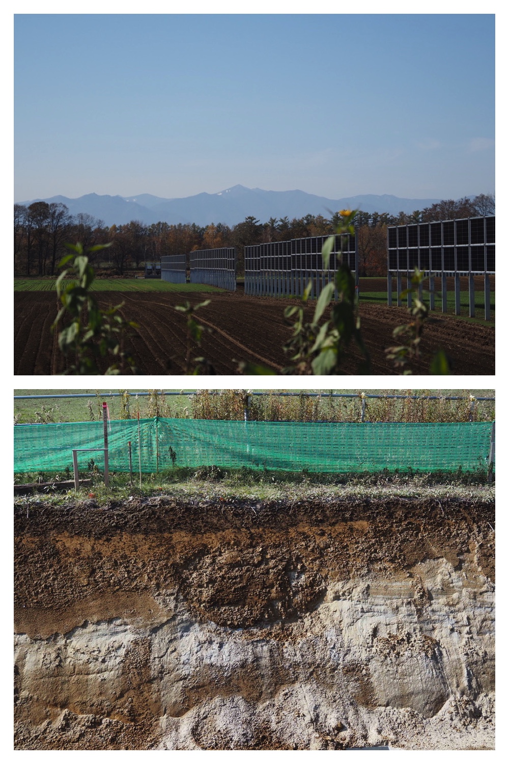 251030_Mini-volley_2