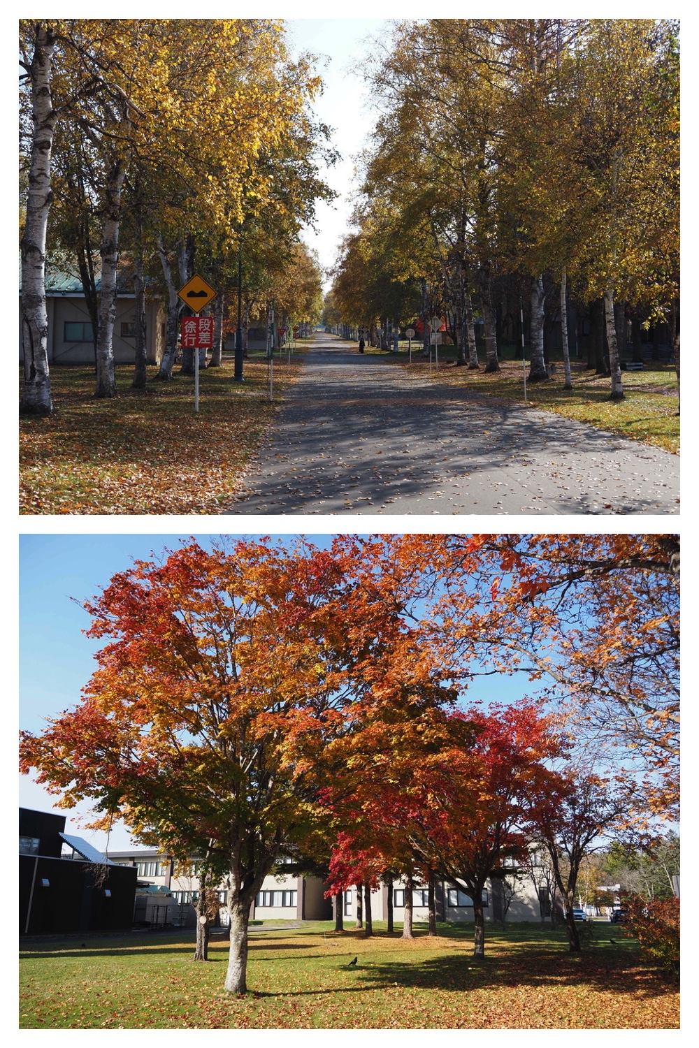 251030_Mini-volley_4