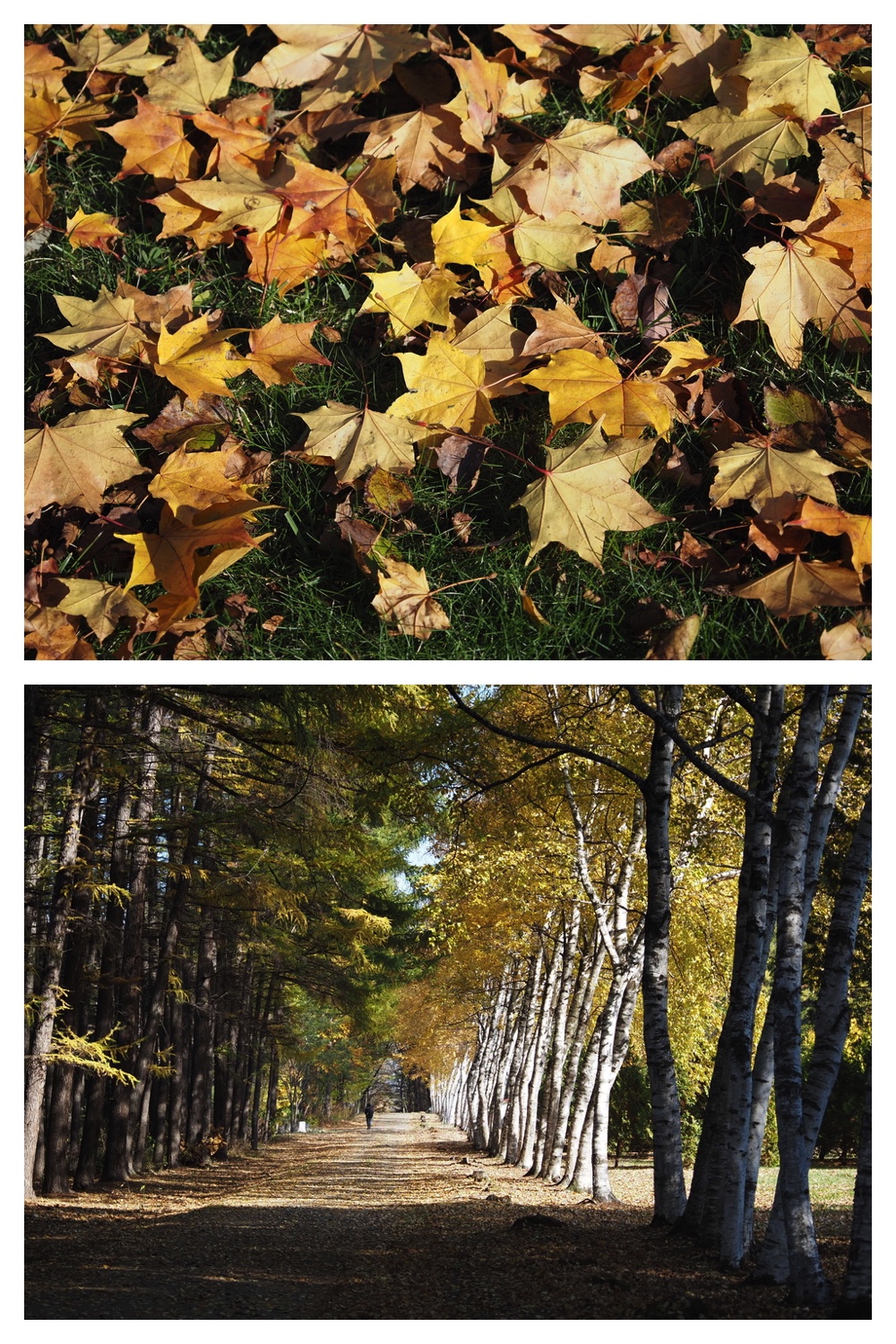 251030_Mini-volley_5