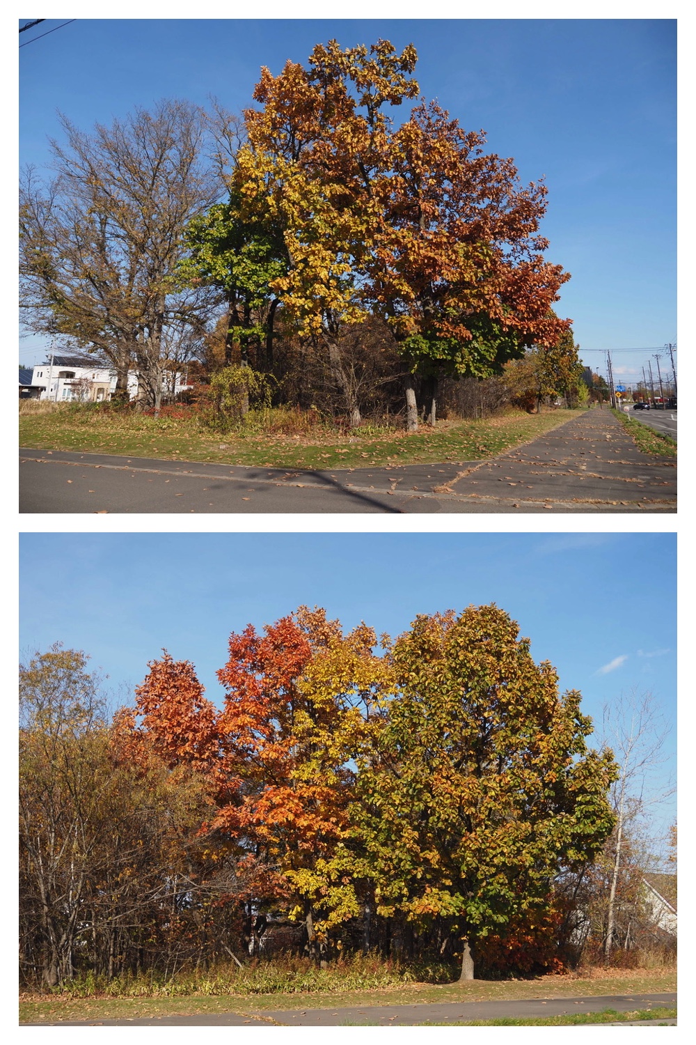 251030_Mini-volley_9