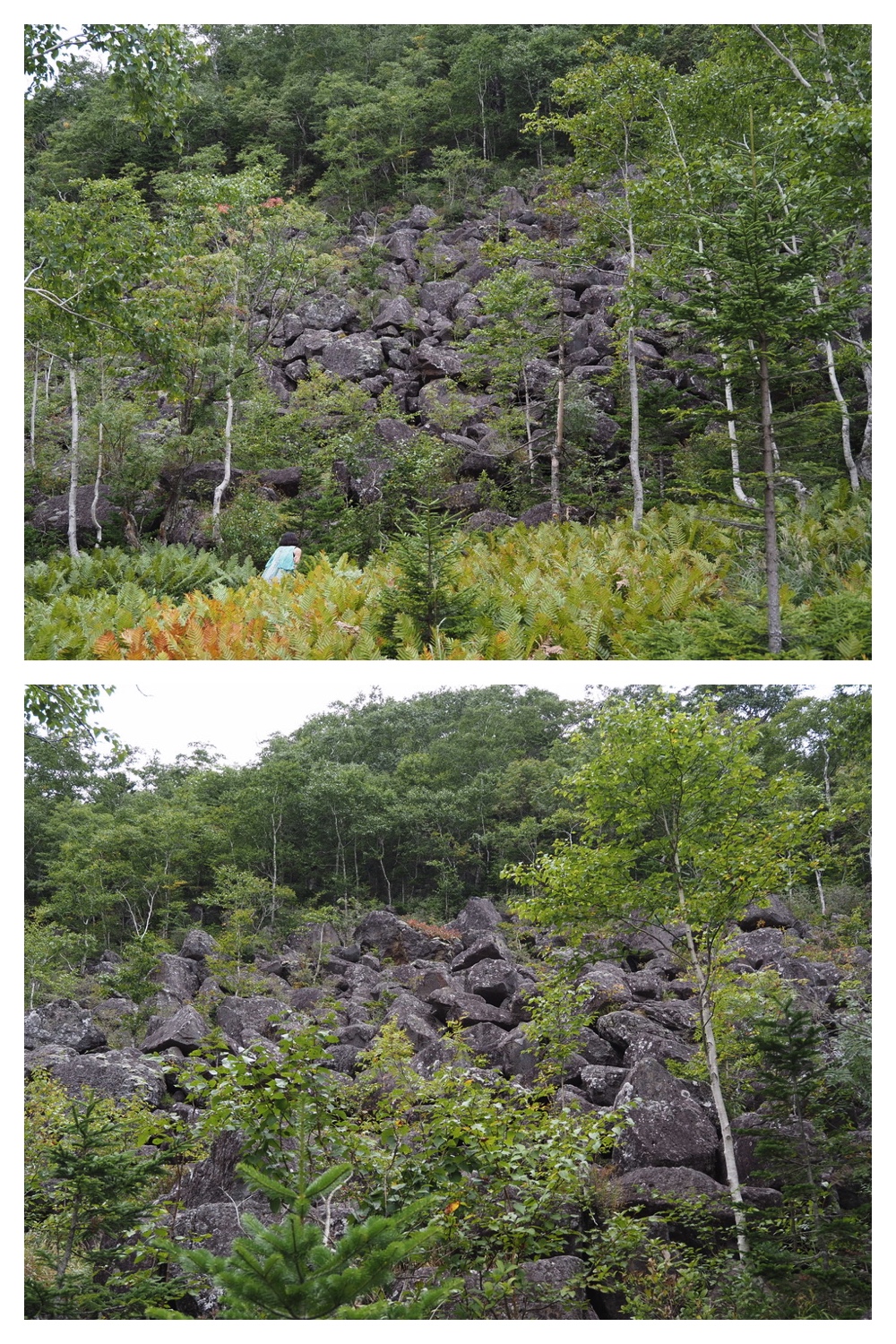 2250906_Shikaribetsu_27