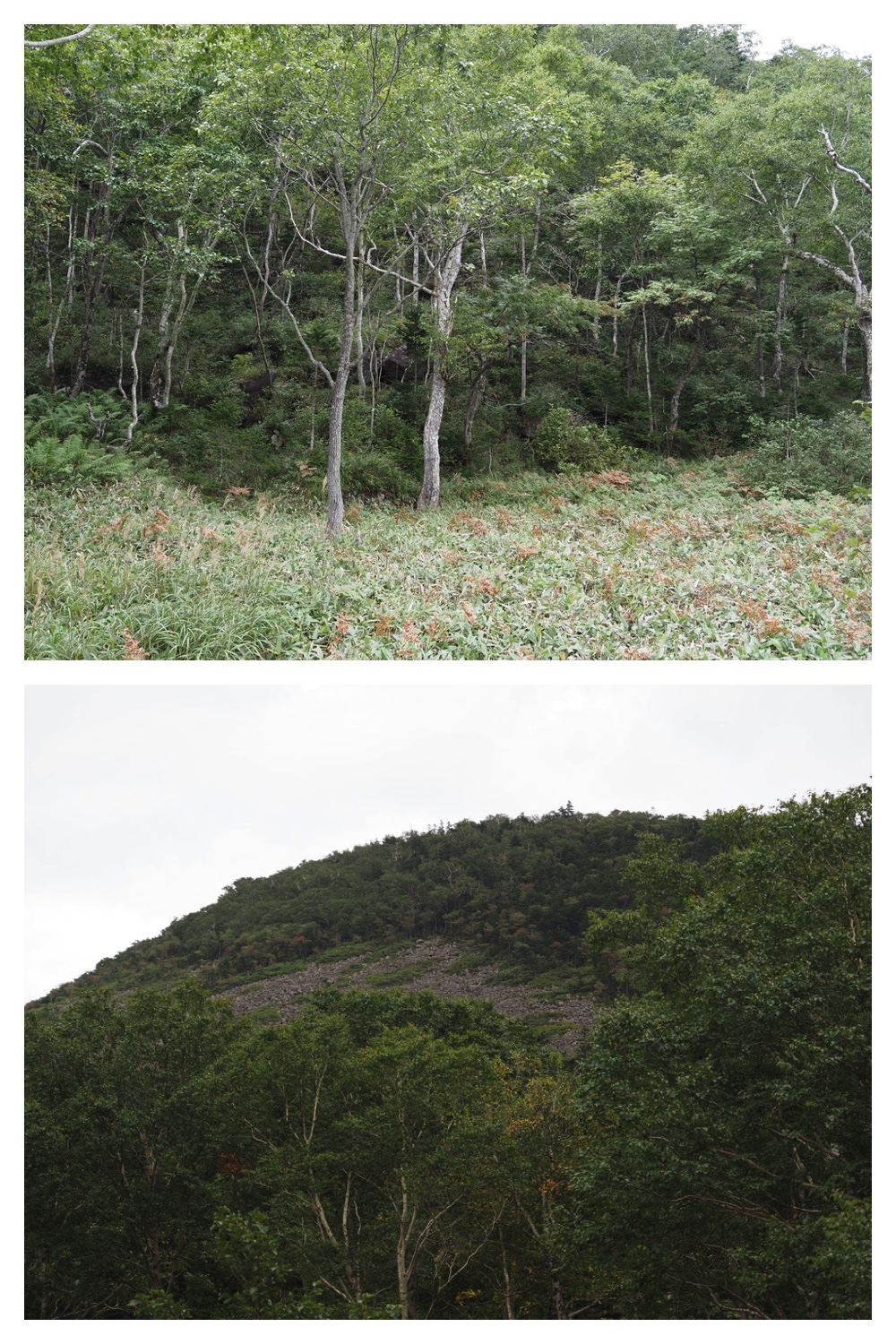 2250906_Shikaribetsu_30