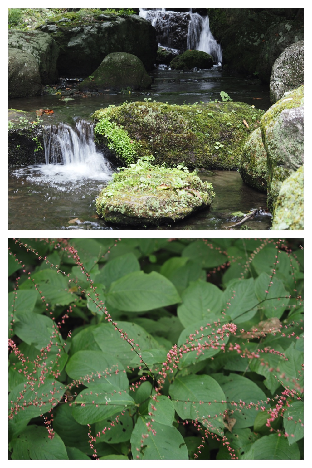 250913_Rekifune_2