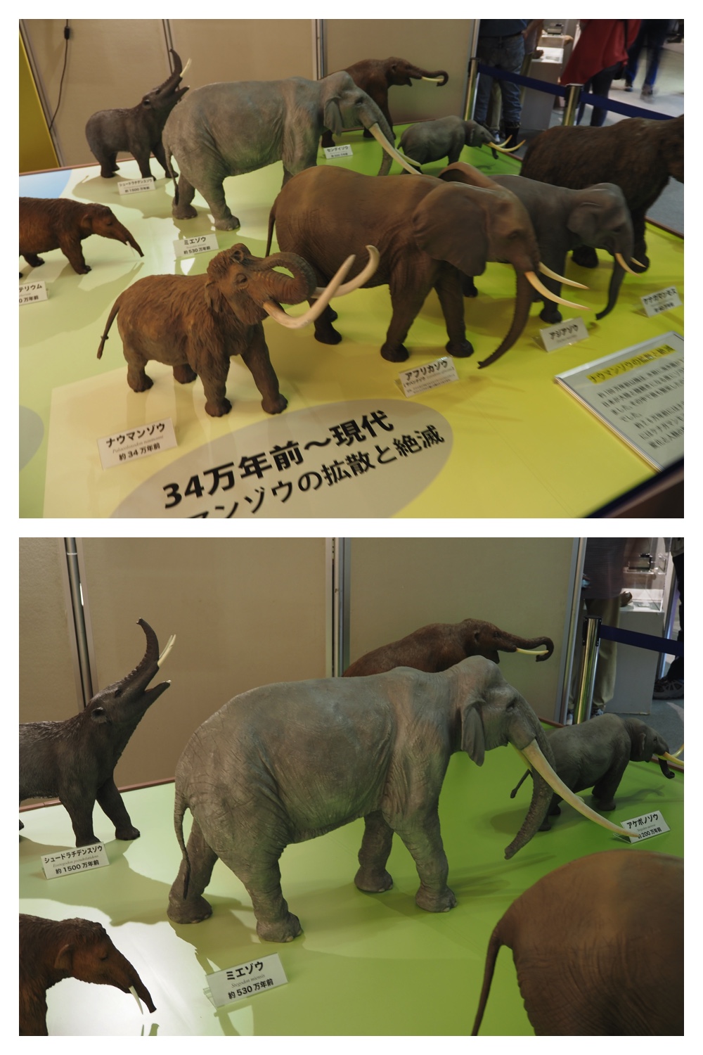 250913_Rekifune_34