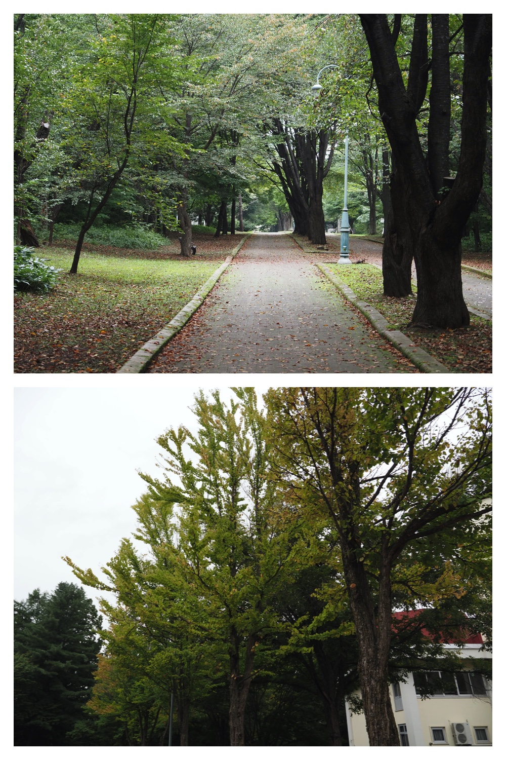 250913_Rekifune_5