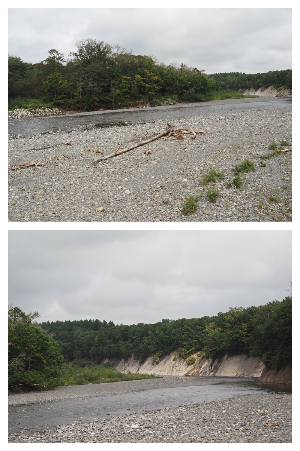 250913_Rekifune_7