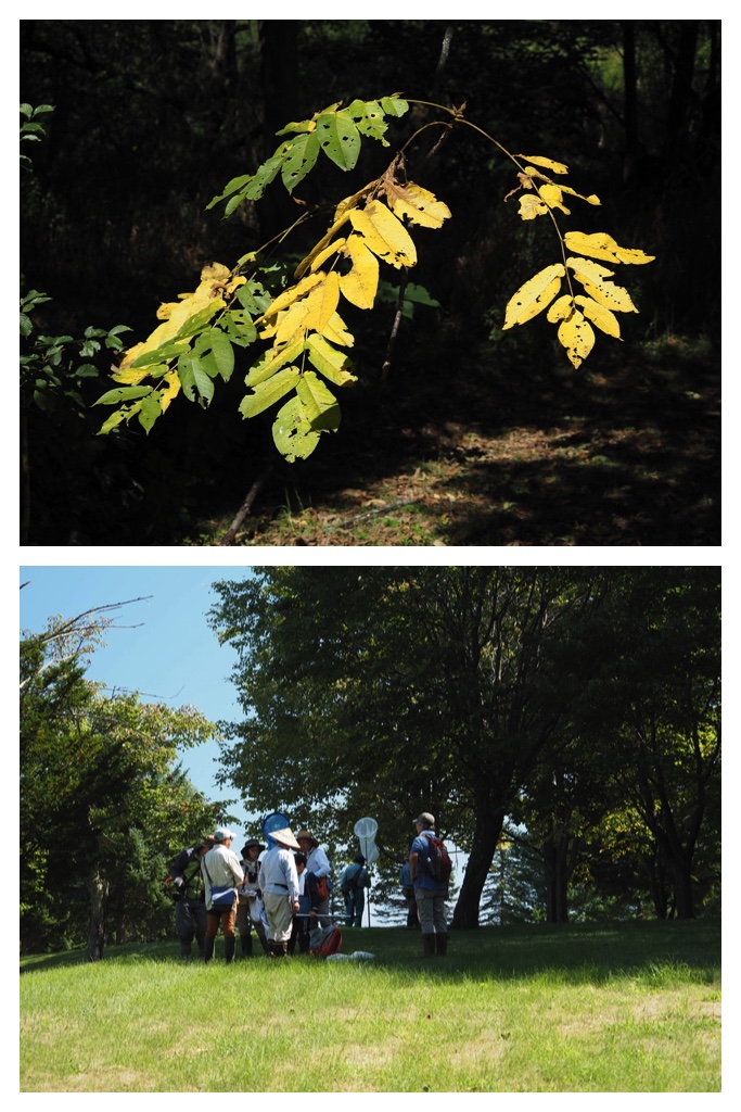 250915_Ezorisunokai_26
