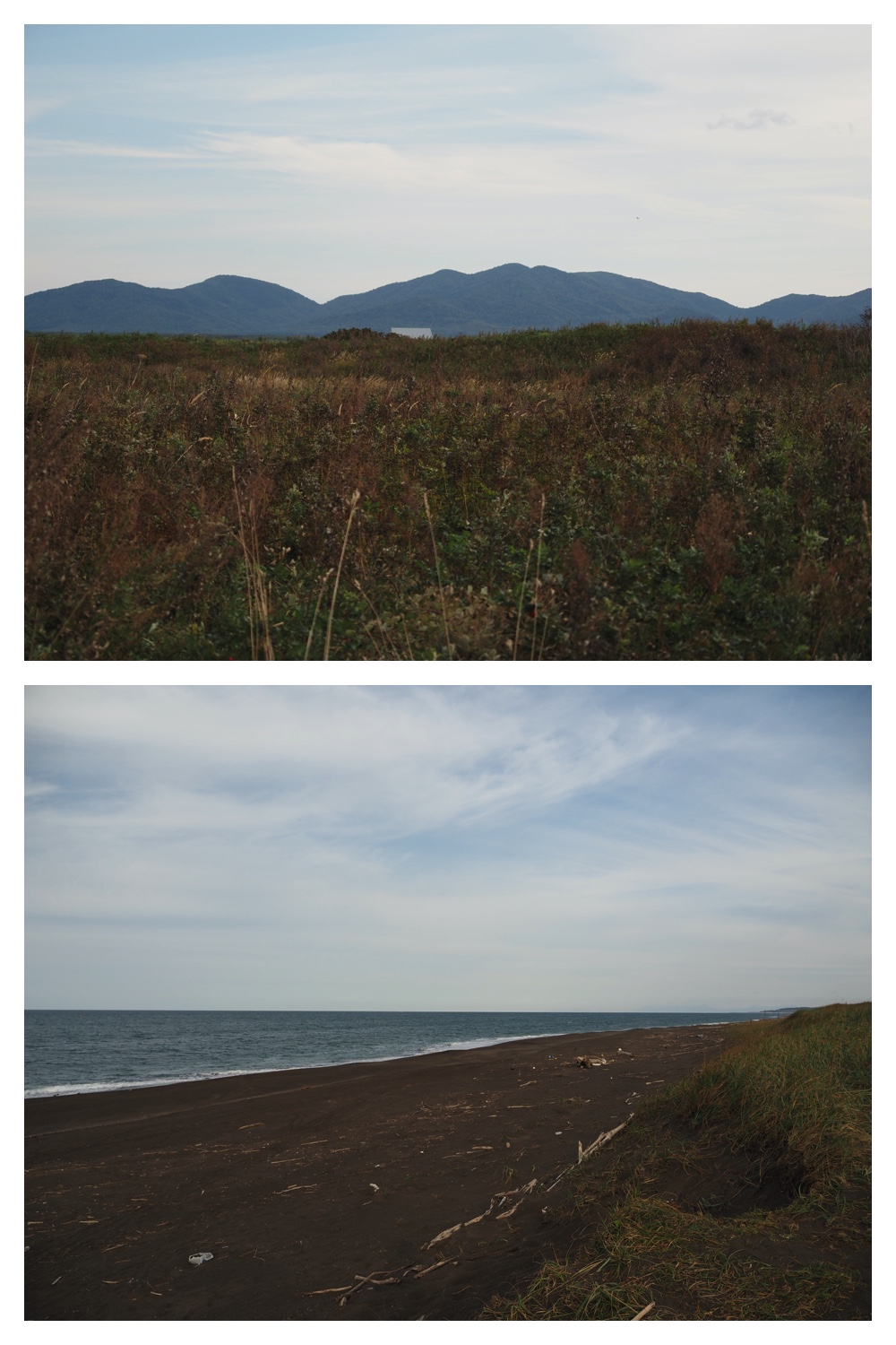 250924_Sangosou_14