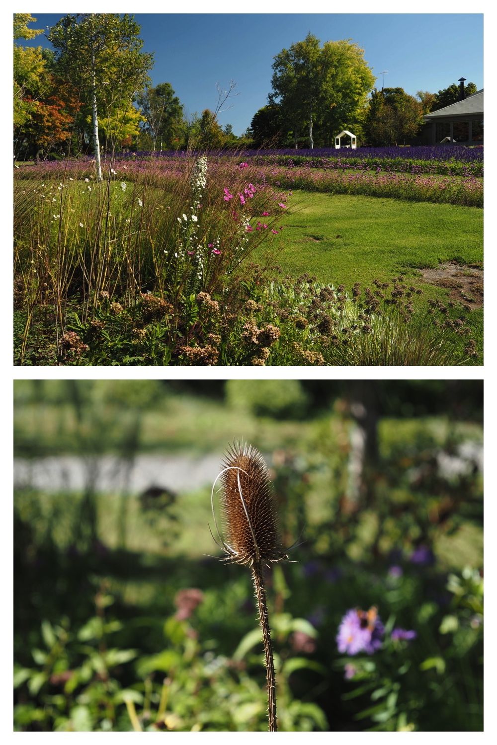 250927_Hills_12