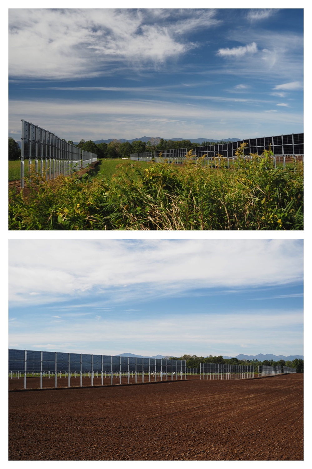 250928_Satoyama_2