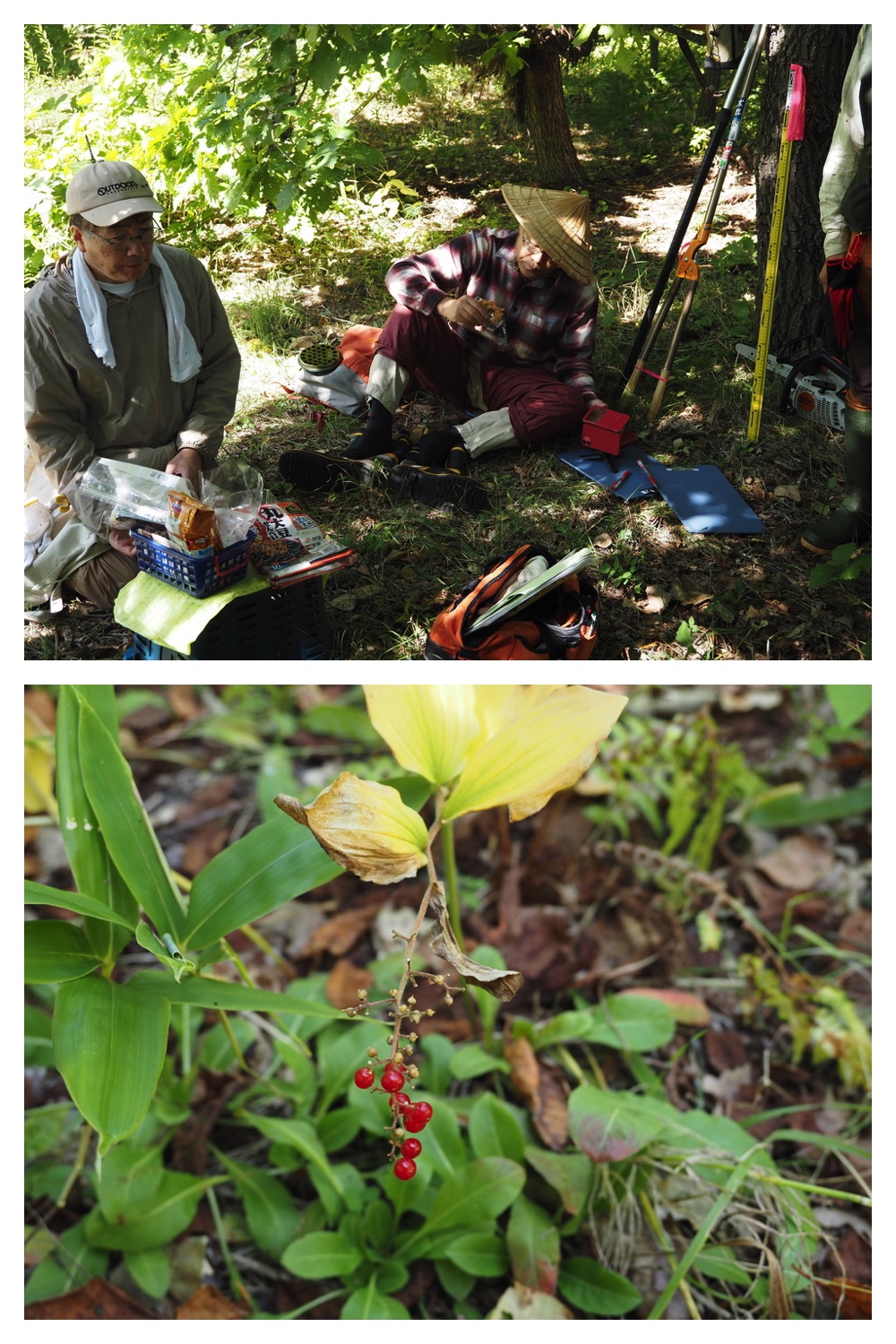 250928_Satoyama_5