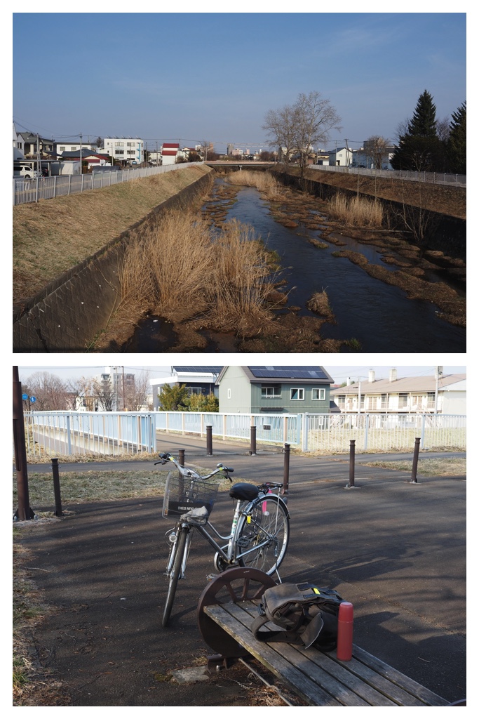 260401_Azumaichige_25