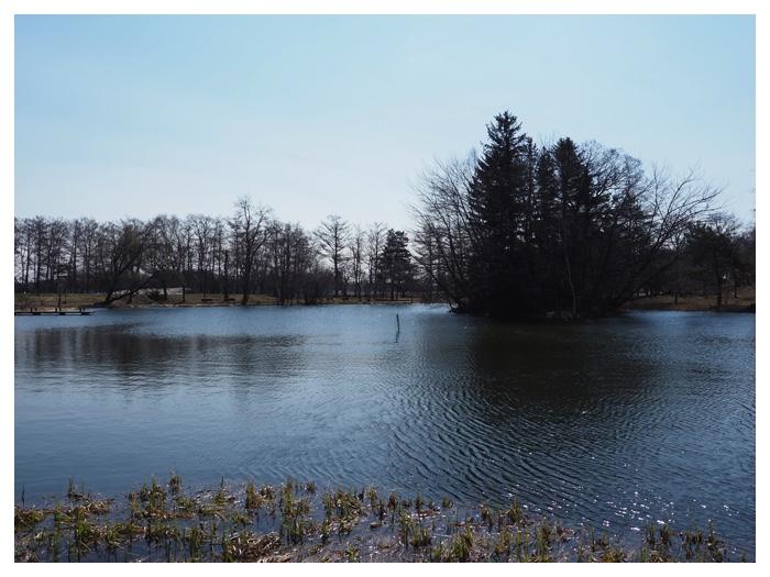 260403_Library_3