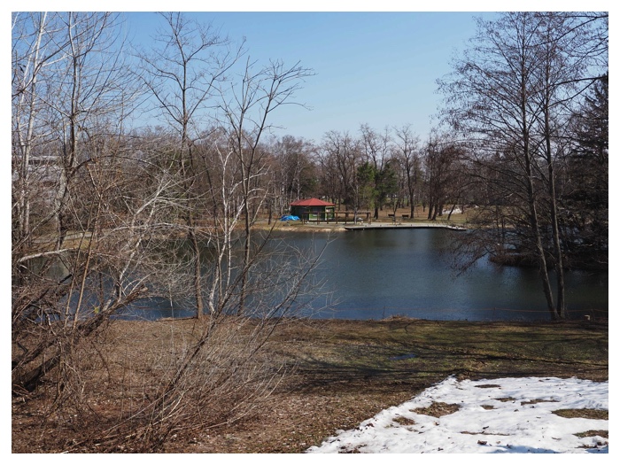 260403_Library_4