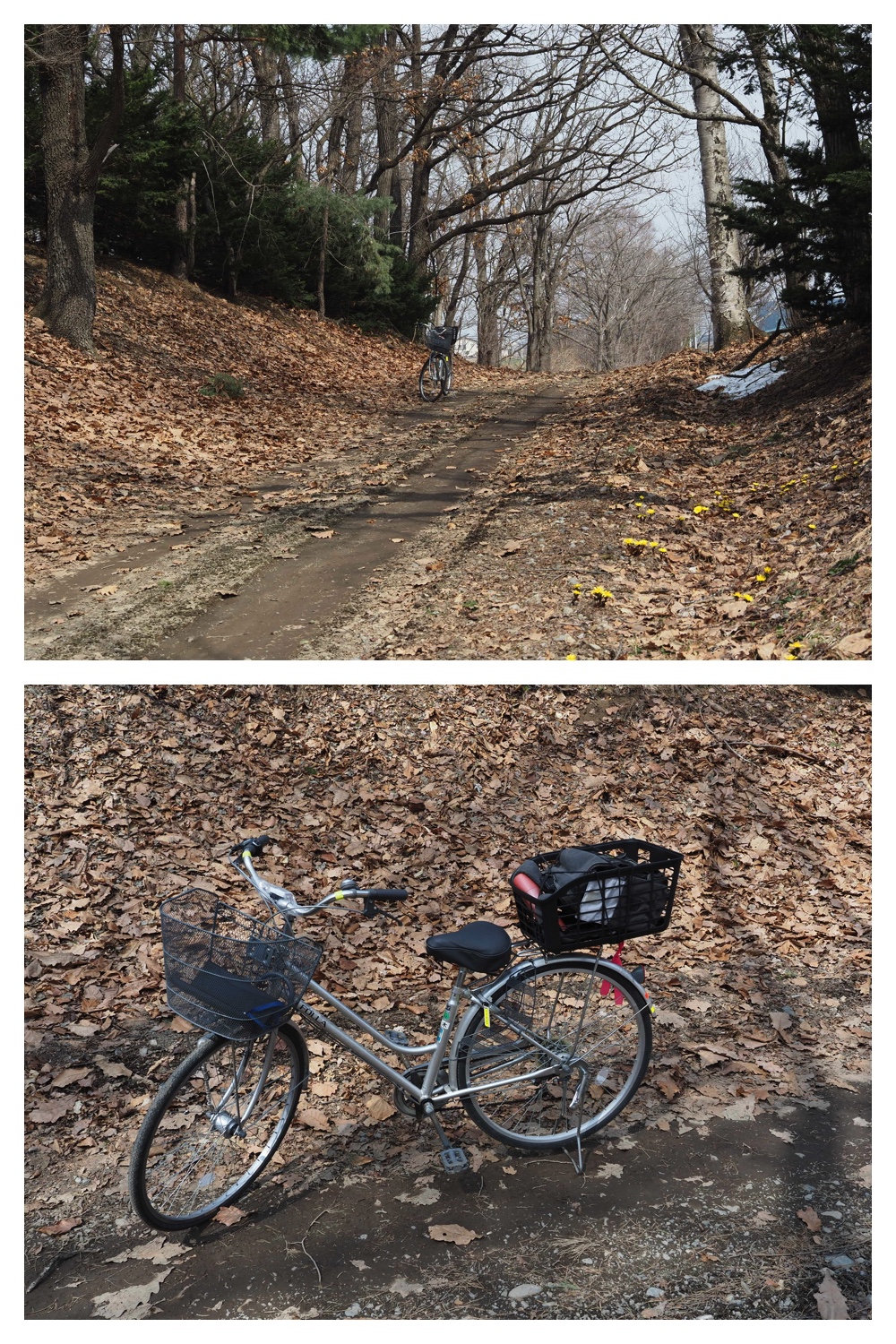 260404_Daibutsu_7