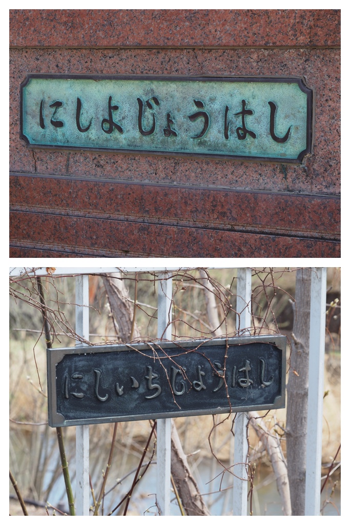 260408_Obihirogawa_5