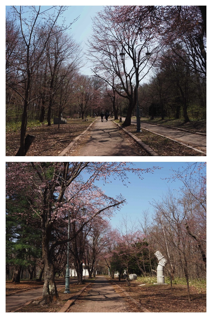 260419_Midorigaoka_14