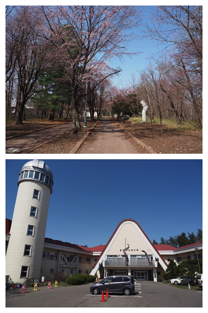 260419_Midorigaoka_17