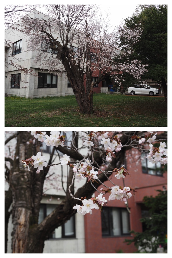 260422_Hijoukin_1