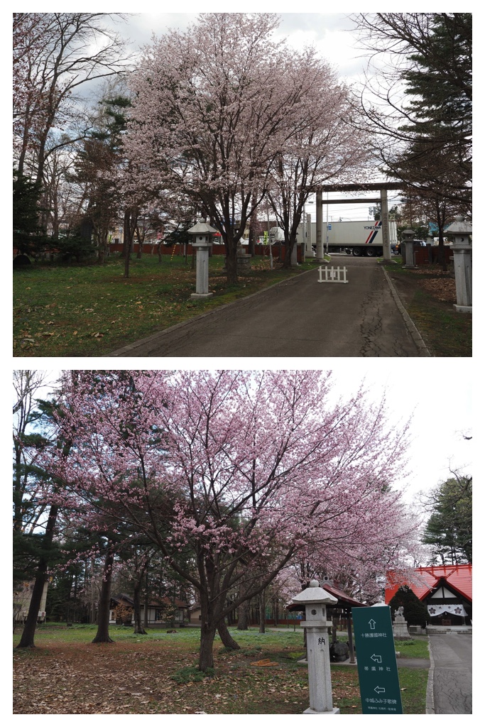 260424_Obihiro-jinja_11