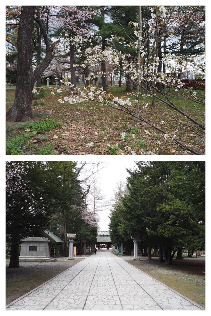 260424_Obihiro-jinja_13