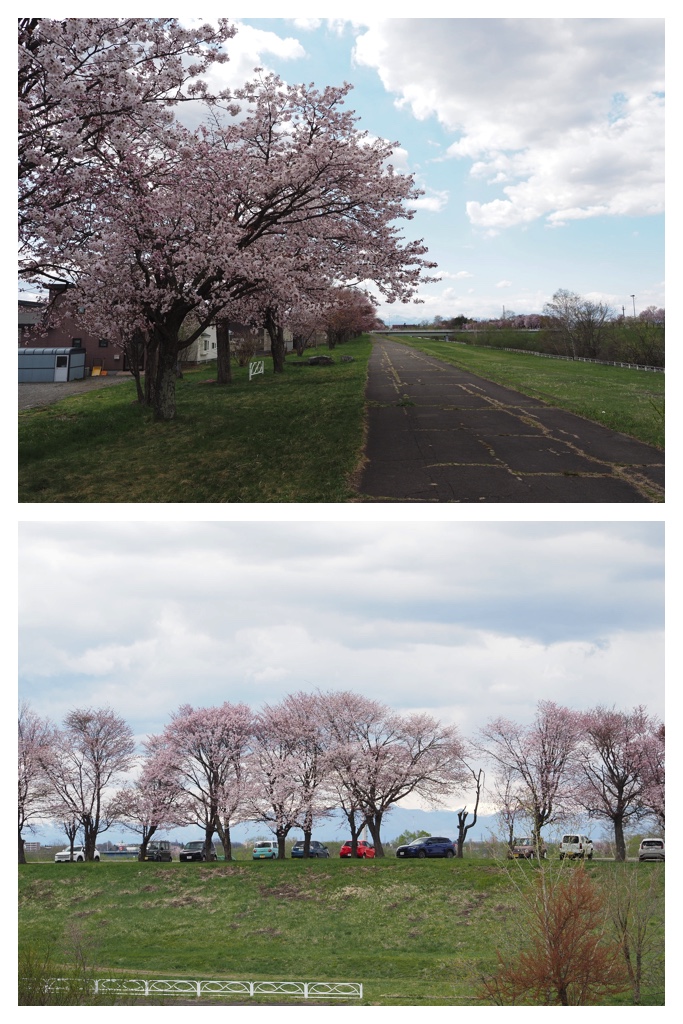 260424_Obihiro-jinja_7