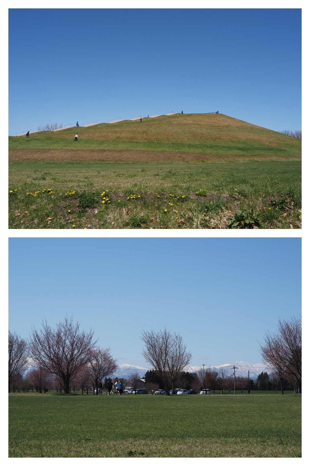 260425_Bird-survey_13